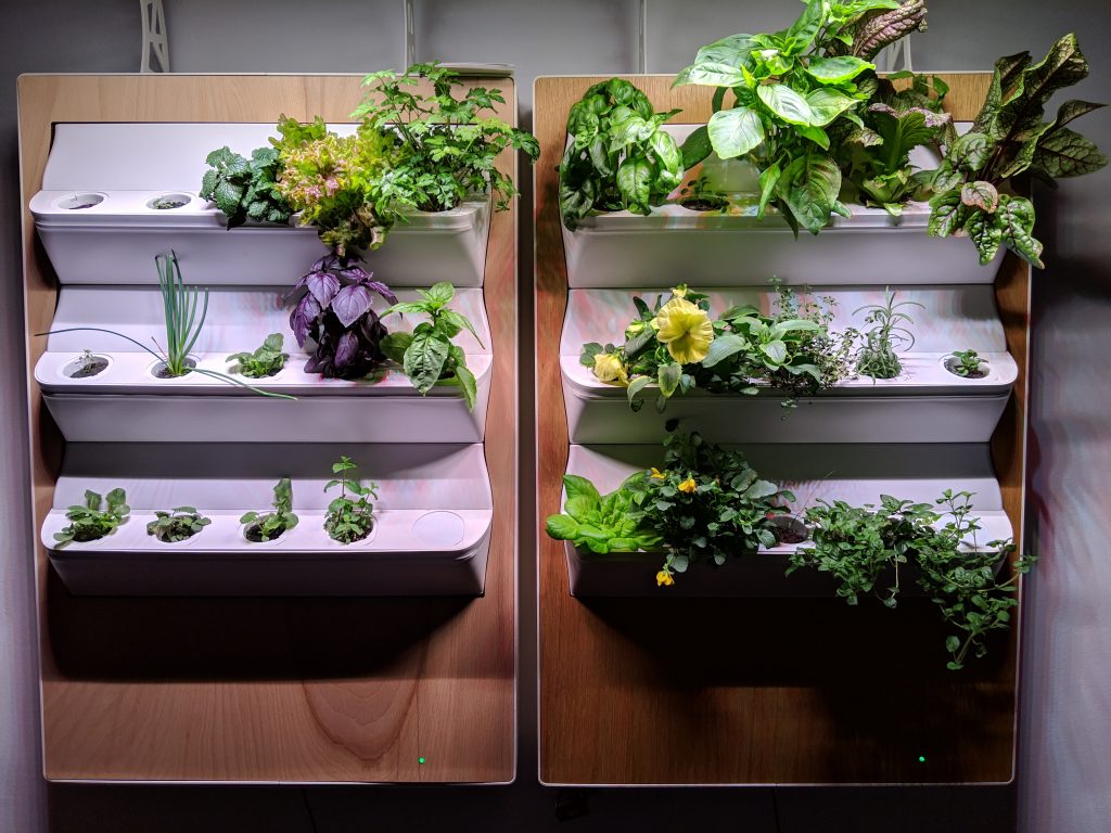 Our vertical farming B2C products