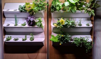 Our vertical farming B2C products